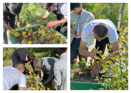 "ZHASYL EL" атты экологиялық акциясы өткізілді.